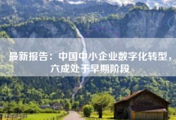 最新报告：中国中小企业数字化转型，六成处于早期阶段