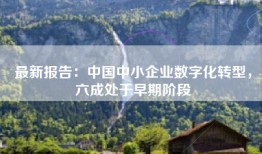 最新报告：中国中小企业数字化转型，六成处于早期阶段