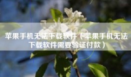 苹果手机无法下载软件（苹果手机无法下载软件需要验证付款）