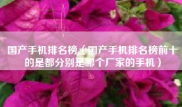 国产手机排名榜（国产手机排名榜前十的是都分别是哪个厂家的手机）