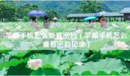 苹果手机怎么查看密码（苹果手机怎么查看密码记录）