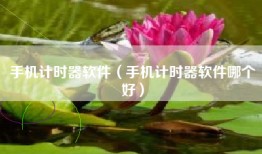 手机计时器软件（手机计时器软件哪个好）