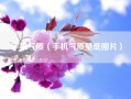 手机气质（手机气质壁纸图片）