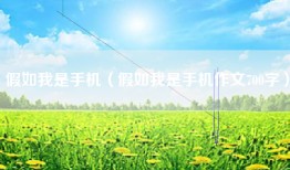 假如我是手机（假如我是手机作文700字）