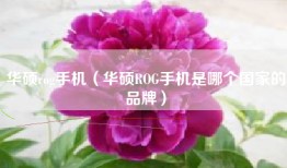华硕rog手机（华硕ROG手机是哪个国家的品牌）