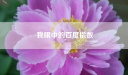 我眼中的百度指数