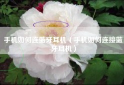 手机如何连蓝牙耳机（手机如何连接蓝牙耳机）