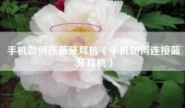 手机如何连蓝牙耳机（手机如何连接蓝牙耳机）