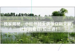 独家揭秘，小红书超火偶像安利文案，让你的爱豆C位出道！