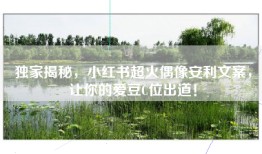 独家揭秘，小红书超火偶像安利文案，让你的爱豆C位出道！