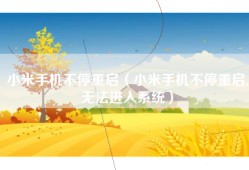 小米手机不停重启（小米手机不停重启,无法进入系统）