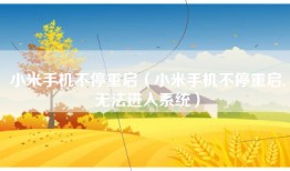小米手机不停重启（小米手机不停重启,无法进入系统）