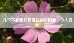 几个不起眼却很赚钱的小副业，令人意外！