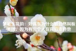 梦笔生花韵：刘强东为什么敢公然叫板美团，因为有三个人在背后支持他