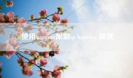 使用haproxy限制ip haproxy 限速