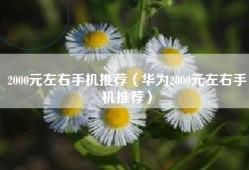 2000元左右手机推荐（华为2000元左右手机推荐）