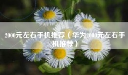 2000元左右手机推荐(华为2000元左右手机推荐)