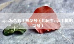 oppo怎么看手机型号（如何看oppo手机的型号）