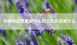 自媒体运营是做什么的工作内容是什么