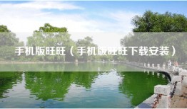 手机版旺旺（手机版旺旺下载安装）