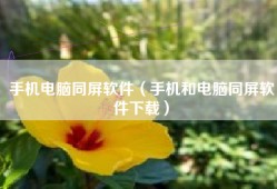 手机电脑同屏软件（手机和电脑同屏软件下载）