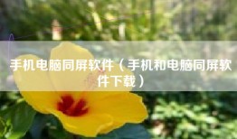 手机电脑同屏软件（手机和电脑同屏软件下载）