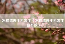 怎样清理手机灰尘（怎样清理手机灰尘最有效）