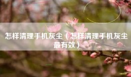 怎样清理手机灰尘（怎样清理手机灰尘最有效）