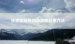 快速提高新网站百度权重方法
