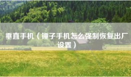 垂直手机（锤子手机怎么强制恢复出厂设置）
