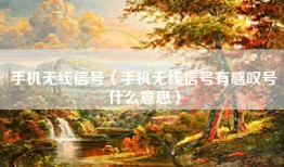 手机无线信号（手机无线信号有感叹号什么意思）