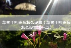 苹果手机声音怎么设置（苹果手机声音怎么设置大一点）
