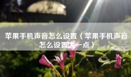 苹果手机声音怎么设置（苹果手机声音怎么设置大一点）