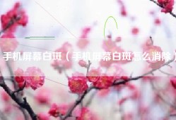 手机屏幕白斑（手机屏幕白斑怎么消除）