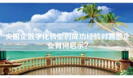央国企数字化转型的成功经验对其他企业有何启示？
