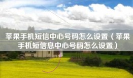 苹果手机短信中心号码怎么设置（苹果手机短信息中心号码怎么设置）
