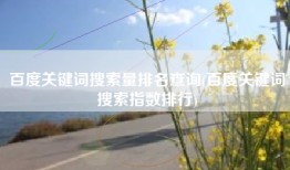 百度关键词搜索量排名查询(百度关键词搜索指数排行)