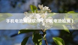 手机电池测试软件（手机电池检测）