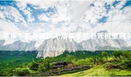 苹果手机老死机（苹果手机老死机重启）