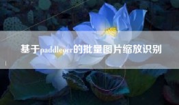 基于paddleocr的批量图片缩放识别