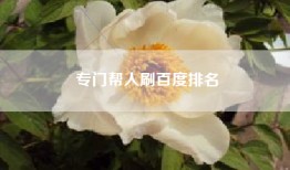 专门帮人刷百度排名