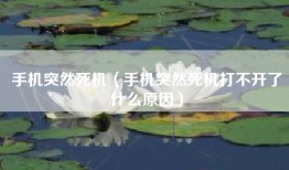 手机突然死机（手机突然死机打不开了什么原因）