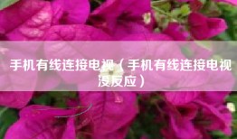手机有线连接电视（手机有线连接电视没反应）