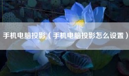手机电脑投影（手机电脑投影怎么设置）