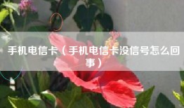 手机电信卡（手机电信卡没信号怎么回事）