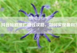 抖音短剧推广赚钱攻略，如何实现盈利？