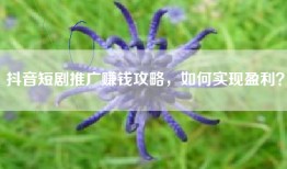 抖音短剧推广赚钱攻略，如何实现盈利？