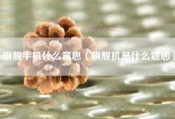 旗舰手机什么意思（旗舰机是什么意思）