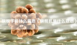 旗舰手机什么意思（旗舰机是什么意思）