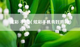 炫彩 手机（炫彩手机壳好用吗）